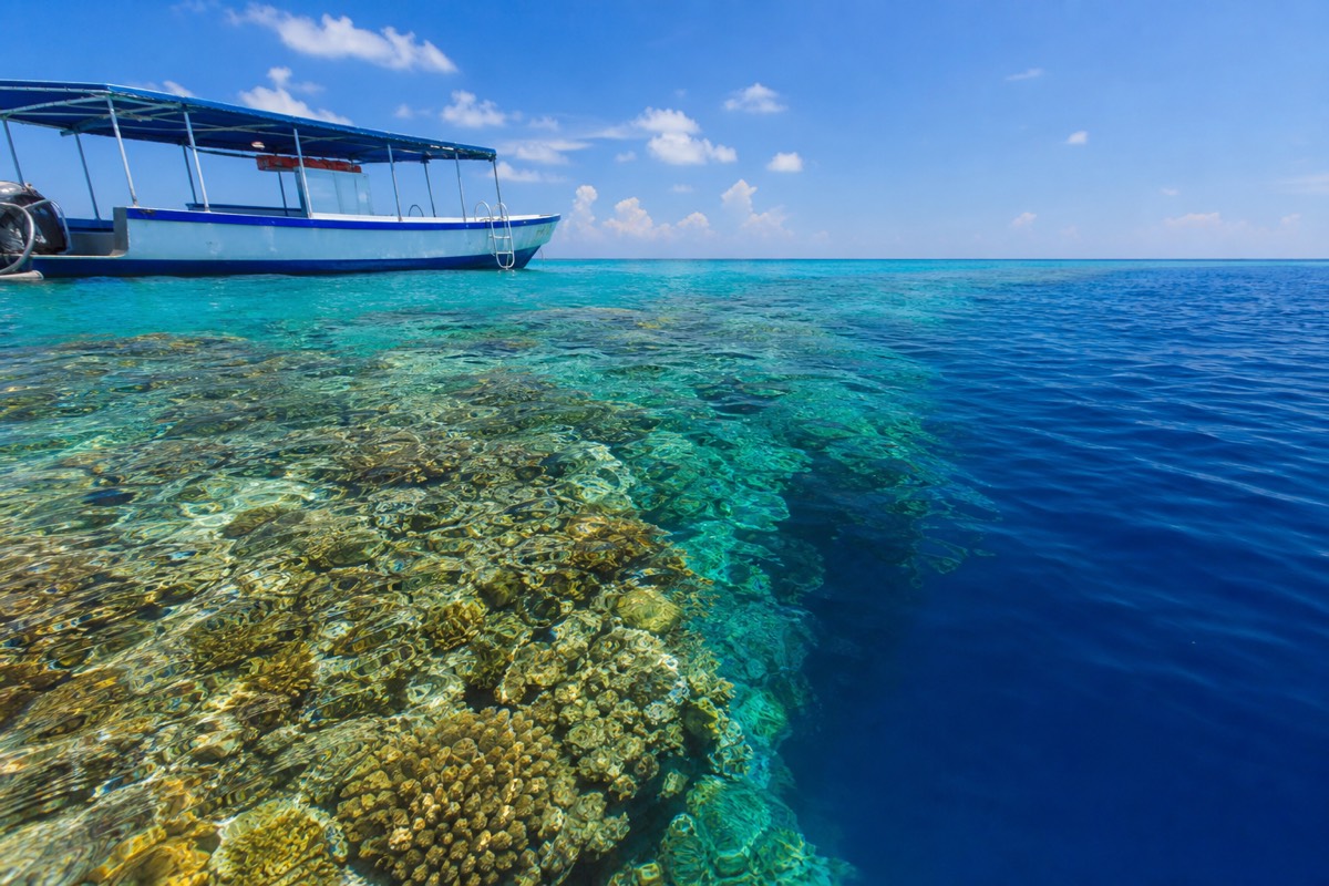 Snorkelers over shallow coral on the Belize Barrier Reef, the same Mesoamerican Reef system that runs past Roatan