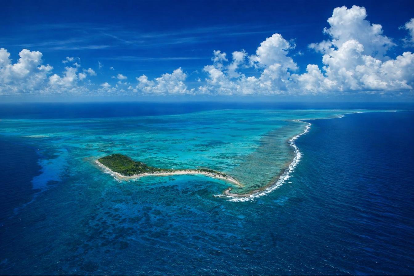 Swim with Sharks, Rays and Colorful Fish with Local Expert Guides